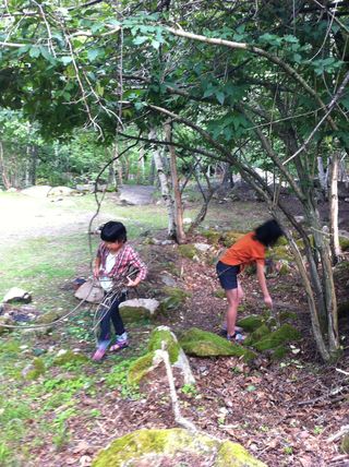 IMG_1765 IMG_1765