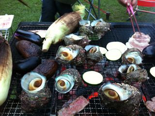 IMG_1769 IMG_1769