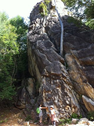 IMG_1778 IMG_1778