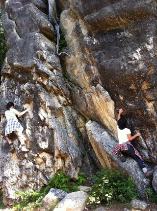 IMG_1784 IMG_1784