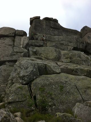 IMG_1795 IMG_1795