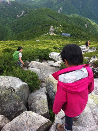 IMG_1800 IMG_1800